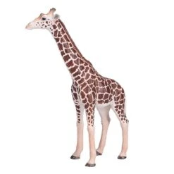 Besttoy Wildlife - Giraffe Männlich - Spielfigur 381008 6 Besttoy Wildlife - Giraffe Männlich - Spielfigur 381008 -Geschäft Zur Auswahl Von Modespielzeugen 225428 5031923810082 besttoy giraffe male 04