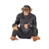 Besttoy Wildlife - Schimpanse - Spielfigur 387265 -Geschäft Zur Auswahl Von Modespielzeugen 225436 5031923872653 besttoy schimpanse 01