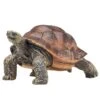 Besttoy - Riesenschildkröte - Spielfigur 1 Besttoy - Riesenschildkröte - Spielfigur -Geschäft Zur Auswahl Von Modespielzeugen 239255 5031923872592 moj besttoy riesenschildkrte 04