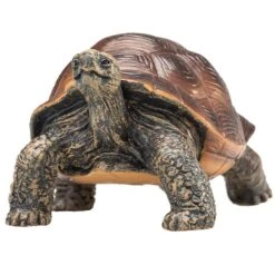 Besttoy - Riesenschildkröte - Spielfigur -Geschäft Zur Auswahl Von Modespielzeugen 239255 5031923872592 moj besttoy riesenschildkrte 05