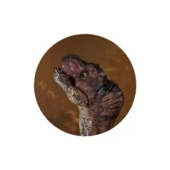 Dinowelt 3er Spielset - 24219 9 Dinowelt 3er Spielset - 24219 -Geschäft Zur Auswahl Von Modespielzeugen 4016096251024 dinosaurier b 24219 b 25102 01