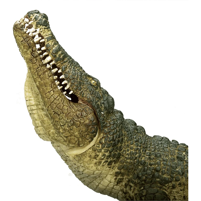 Besttoy Wildlife - Nilkrokodil - Spielfigur 387162 6 Besttoy Wildlife - Nilkrokodil - Spielfigur 387162 – Bild 4